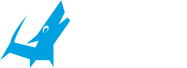 TeraOne | 西尾から挑むWebクリエイティブ